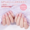 DANNI&TONI Ref.2497 Gel Nail Seals, Sakura, Transparent, Hardening Type, Spring