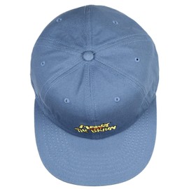 Bioworld Animaniacs Pinky and The Brain - Gorra ajustable con logotipo bordado, cierre de metal, color azul