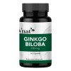 Ginkgo Biloba 120mg 240caps Ayuda Memoria Reduce Fatiga Vnat Sabor
