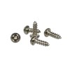 C. B. Gitty 100pc. #2 x 1/4" Silver (Nickel-plated) Phillips