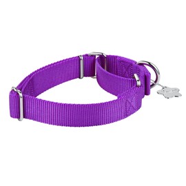 Dazzber Martingal Collars for Dogs, Adjustable, Durable, No Escape Stop, Pull Nylon Dog Collar, for Large/Medium/Small Dogs