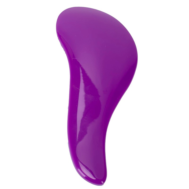CAISHA Purple Blue Wet Hair Brush Without Pulling Detangling Brush