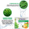 Tipson Organic Moringa Variety Sampler - 6 Flavors (60 Tea
