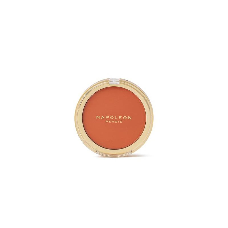 Napoleon Perdis Bronze Icon Matte 7g, Dark