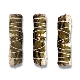 BADLA Sahumerio Natural en Manojo de 10 a 12cm| Calidad Premium Empacado al Alto Vacio| Hecho por Artesanos Mexicanos| Incienso para Sahumear Cualquier Espacio| (Salvia Blanca & Menta)