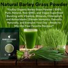 FzyEzy Premium Organic Barley Grass Powder | 100% Pure, Non-GMO,