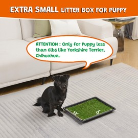 MEEXPAWS Dog Grass Pee Pads for Dogs with Tray, Small Size 18 by 14 in, 2 Dog Artificial Grass Pads, Indoor Dog Litter Box