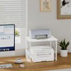 VYUOL Printer Stand for Desk, Desktop Printer Stand Shelf Organzier