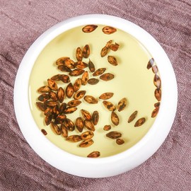 Natural Organic Barley Tea - Strong Flavor, Super Grade, Fragrant & Stomach Nourishing - 500 Grams Bulk