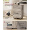 VASAGLE 2-Drawer File Cabinet, Small Rolling Filing Cabinet for Home