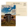 Abandoned Car in Field (4x6 Birch Wood Postcards, 2-Pack Stationary,