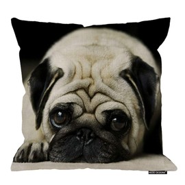 HGOD DESIGNS Pug Dog Pillowcase 18X18 inch Two Sides Zippered Pillow Cover Cases