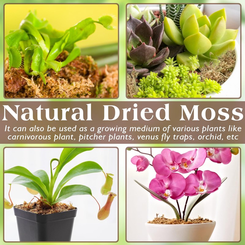 ZeeDix 6OZ Sphagnum Moss for Reptiles, 50QT Premium Dried Moss