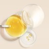 Rene Furterer [Rene Furterer]Carite Professional Damaged Hair Care Light Essence