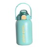 850ml Insulated Water Bottle Large Capacity with Bounce Cap Straw