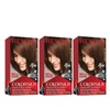 Revlon Colorsilk Beautiful Color, Medium Rich Brown, 3 Count