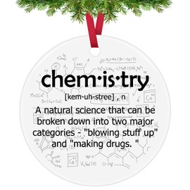 Inspirational Gift for Scientist Chemistry Science Chemist Teacher Appreciation Gifts Christmas Ornaments for Chemist Ceramic Ornament Christmas Birthday Gift for Coworker Student Chemistry Lovers