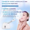 K Skin Vaporizador Facial K·skin Kd33s Para Limpieza De La