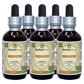 Hedyotis (Hedyotis Diffusa) Tincture, Dried Herb Liquid Extract (Brand Name: HerbalTerra, Proudly Made in USA) 5x2 fl.oz (5x60 ml)