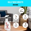 BUGGSLAYER Insecticide RTU Indoor Insect Killer - Kills Spiders, Ants,