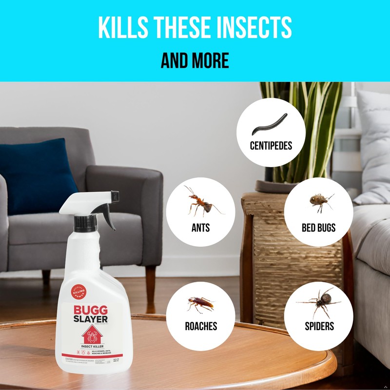 BUGGSLAYER Insecticide RTU Indoor Insect Killer - Kills Spiders, Ants,