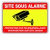 CRJ SITE Surveillance Panel with PVC Alarm + 4 Holes