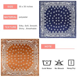 Tapp Collections 2-Pk 35” Silk Like Satin Large Square Head Neck Scarves Hair Sleeping Wraps for Women - Paisley 1 / Coffee and Blue