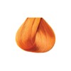 Kiss Tintation Semi-Permanent Hair Color 5 Ounce Ginger (2 Pack)