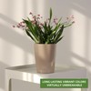 Dexceder 6x7 Self Watering Planter Indoor Outdoor, High Gloss Table