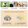 Havniva Ceramic 1.2 Cup Raised Slow Feeder Dog Bowl Set,