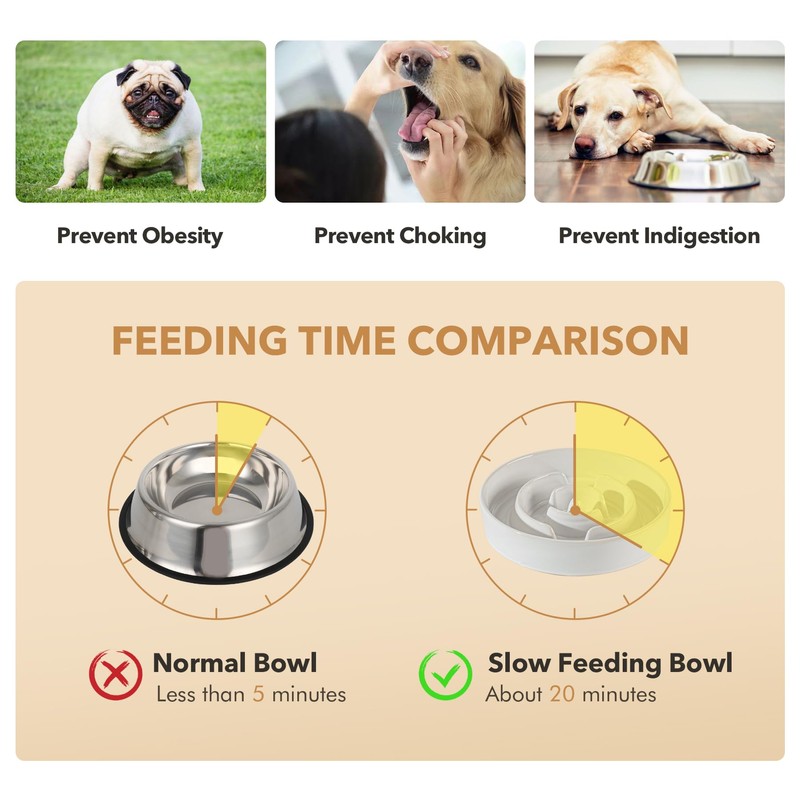 Havniva Ceramic 1.2 Cup Raised Slow Feeder Dog Bowl Set,