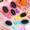 24 Pcs Mini Wet Hair Brush Hair Combs Set 12