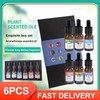 Premium Grade Fragrance Oil-Summer Time- Gift Set 6/10ml for Diffuser,