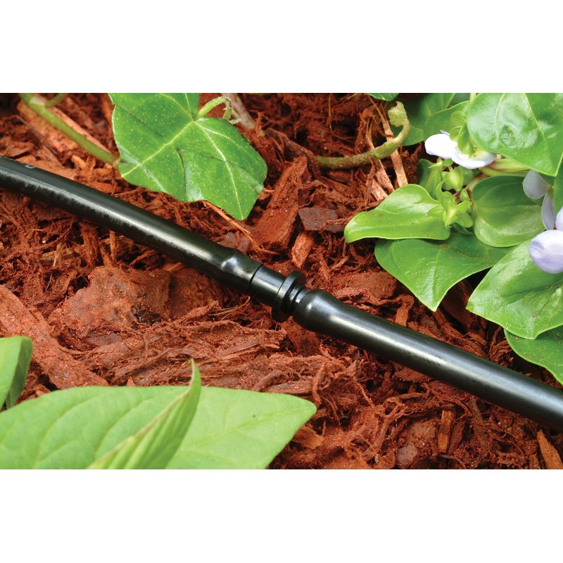 Rain Bird BC25/10PS Drip Irrigation Universal 1/4" Barbed Coupling Fitting,