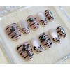 Hopi Gyaru [Handmade Nail Tips] Magnet Gel Artist Recommendation -