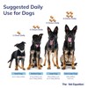The Vet Equation Joints & Mobility Support for Dogs –