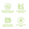 Beljanski® Products - Ginkgo V® Dietary Supplement - Ginkgo Biloba
