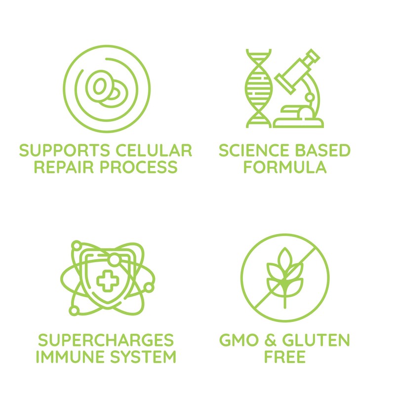 Beljanski® Products - Ginkgo V® Dietary Supplement - Ginkgo Biloba