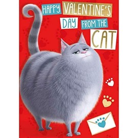 Secret Life Of Pets Valentines Day Card From The Cat