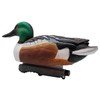 Final Approach Live Floating Northern Shovelers, Decoy 6 Pack in