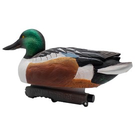 Final Approach Live Floating Northern Shovelers, Decoy 6 Pack in Green