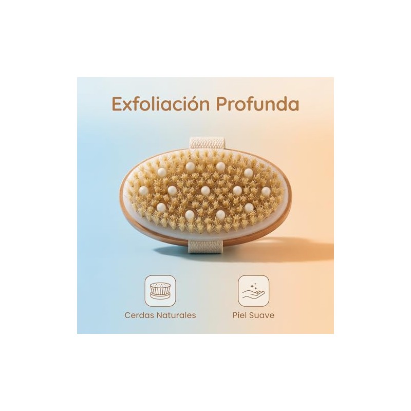 Lumina Cepillo Corporal Exfoliante de Madera con Cerdas Naturales,cepillo