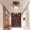 Q&S Small Crystal Ceiling Light Fixture Flush Mount,Black Ceiling Lights