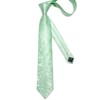 DiBanGu Men's Paisley Ties Set Formal Light Green Woven Jacquard