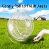 TINAFEITEM Rolling Small Animal Cage 11.8 inches, Metal Mesh Ball Cage