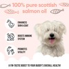 Buddycare Buddycare Scottish Salmon Oil for Dogs and Cats (1L)