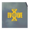 Evolve Vinyl Sticker Decal DNA Strand Darwin Monkey to Man