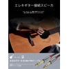 ANYPLUS 6.35 mm Musical Instrument Cable, 6.35 m (6.35 m)