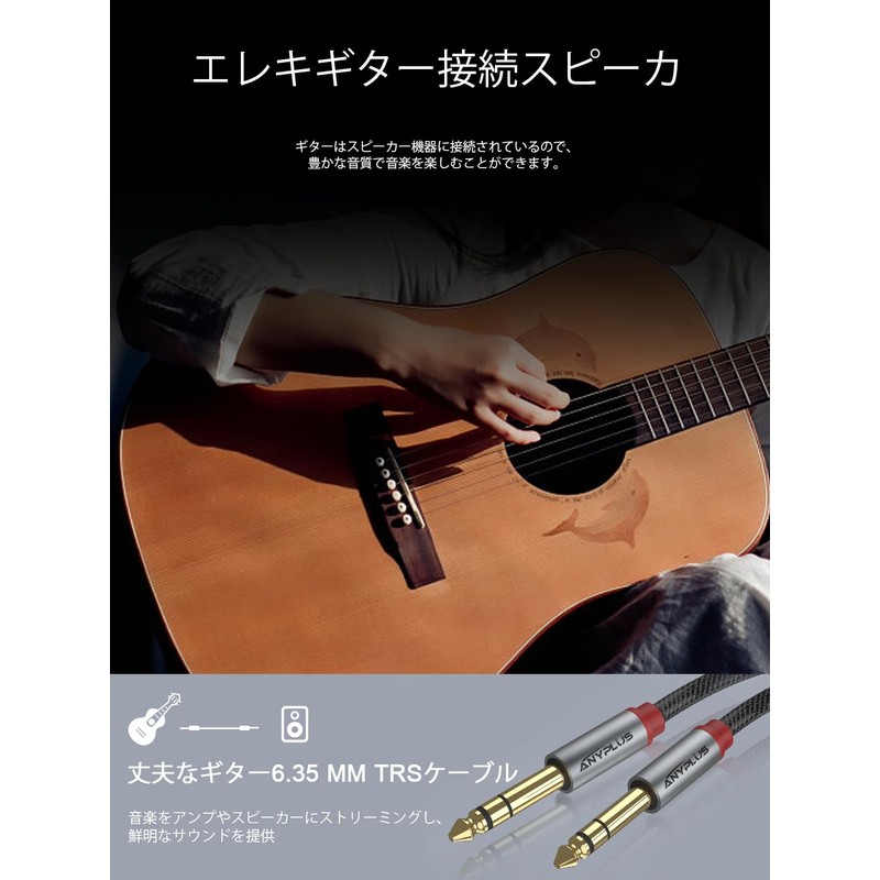 ANYPLUS 6.35 mm Musical Instrument Cable, 6.35 m (6.35 m)