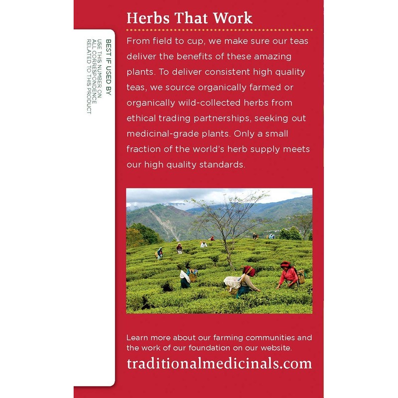 TRADITIONAL MEDICINALS TEA,OG2,ECHINACEA PLS 16 BAG 1-EA